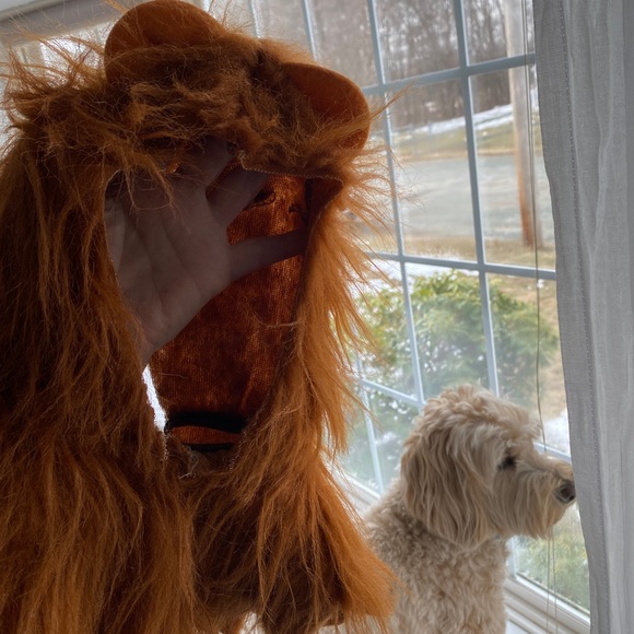 Lions Head Costume - Picture 9 of 13